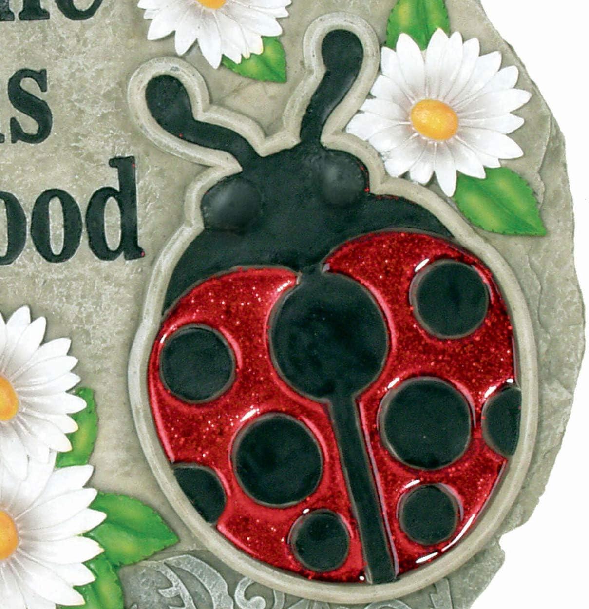 image:imageSpoontiques Garden Dcor Life is Good Ladybug Stepping Stone Decorative Stone for GardenLife is Good Ladybug