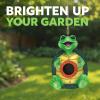 Spoontiques – Birdhouse – Garden Décor – Decorative Bird House for Yard and Garden Decoration – Hanging Novelty for Outdoor Patio – Flamingo Birdhouse(Turtle)