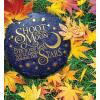 Spoontiques – Garden Décor – Shoot for The Stars Stepping Stone – Decorative Stone for Garden