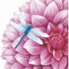 Spoontiques Dahlia Stepping Stone