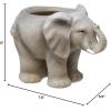 Spoontiques Decorative Flower Pots for Indoor and Outdoor Use – Hand Painted Resin Plant Pot – Home and Garden Décor (Grandma, 5.75″ x 5.75″ x 4.25″)(Elephant)