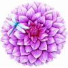 Spoontiques Dahlia Stepping Stone