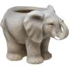 Spoontiques Decorative Flower Pots for Indoor and Outdoor Use – Hand Painted Resin Plant Pot – Home and Garden Décor (Grandma, 5.75″ x 5.75″ x 4.25″)(Elephant)