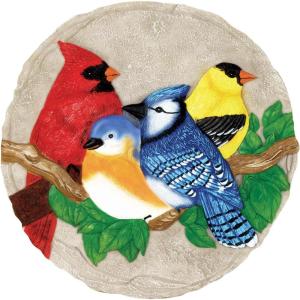 Spoontiques – Garden Décor – Bright Birds Stepping Stone – Decorative Stone for Garden