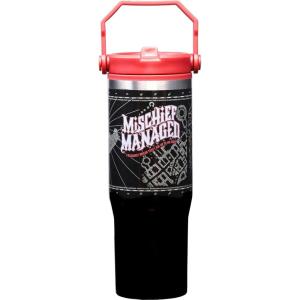 Spoontiques Wonder Woman Stainless Steel Water Bottle – 10″ Tall, Twist Off Lid & Carrying Handle – Stainless Steel Outer Wall & Acrylic Inner Wall(Mischief Managed)