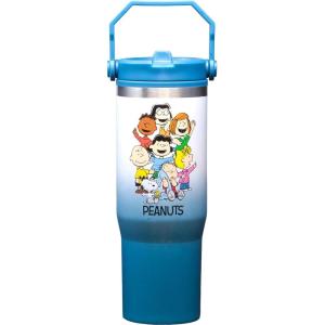 Spoontiques Wonder Woman Stainless Steel Water Bottle – 10″ Tall, Twist Off Lid & Carrying Handle – Stainless Steel Outer Wall & Acrylic Inner Wall(Peanuts Group)