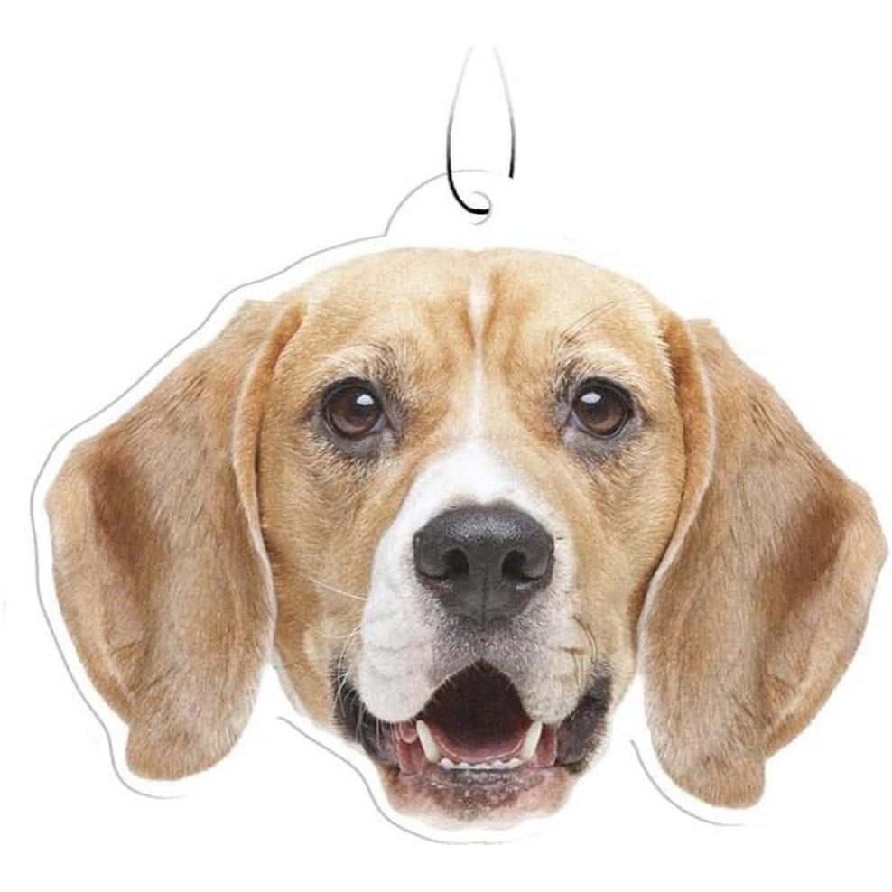 image:imageSpoontiques Sugar Skull Air FreshenerBeagle