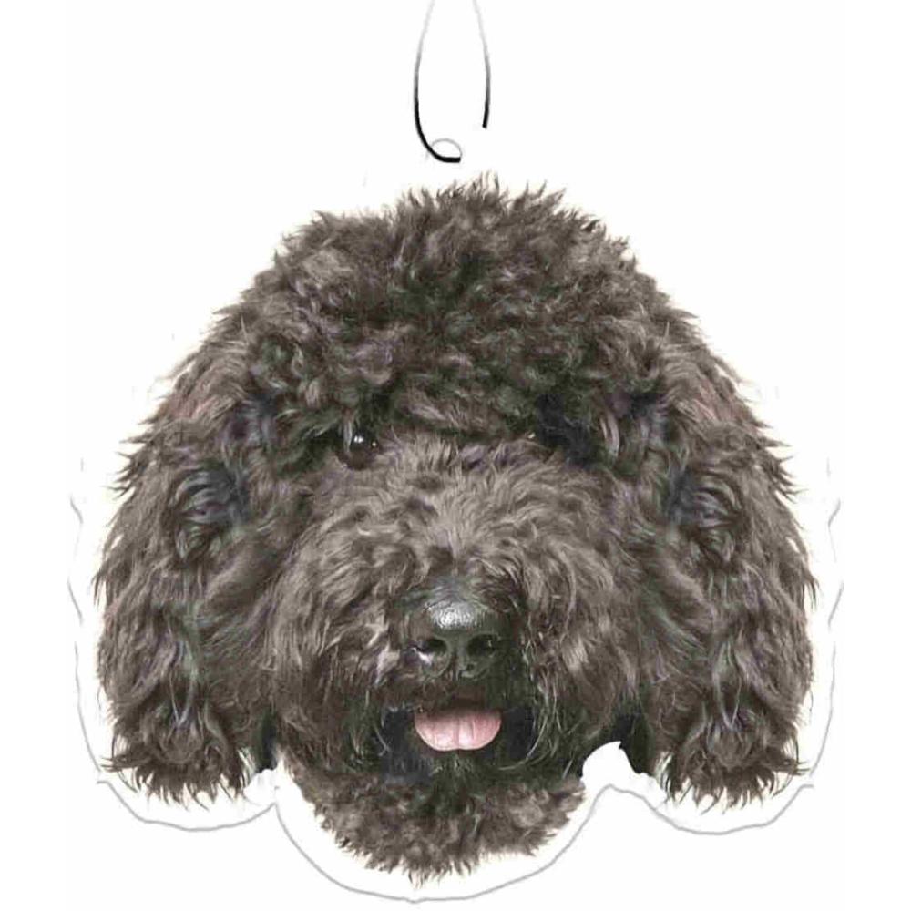 image:imageSpoontiques Sugar Skull Air FreshenerBlack Labradoodle