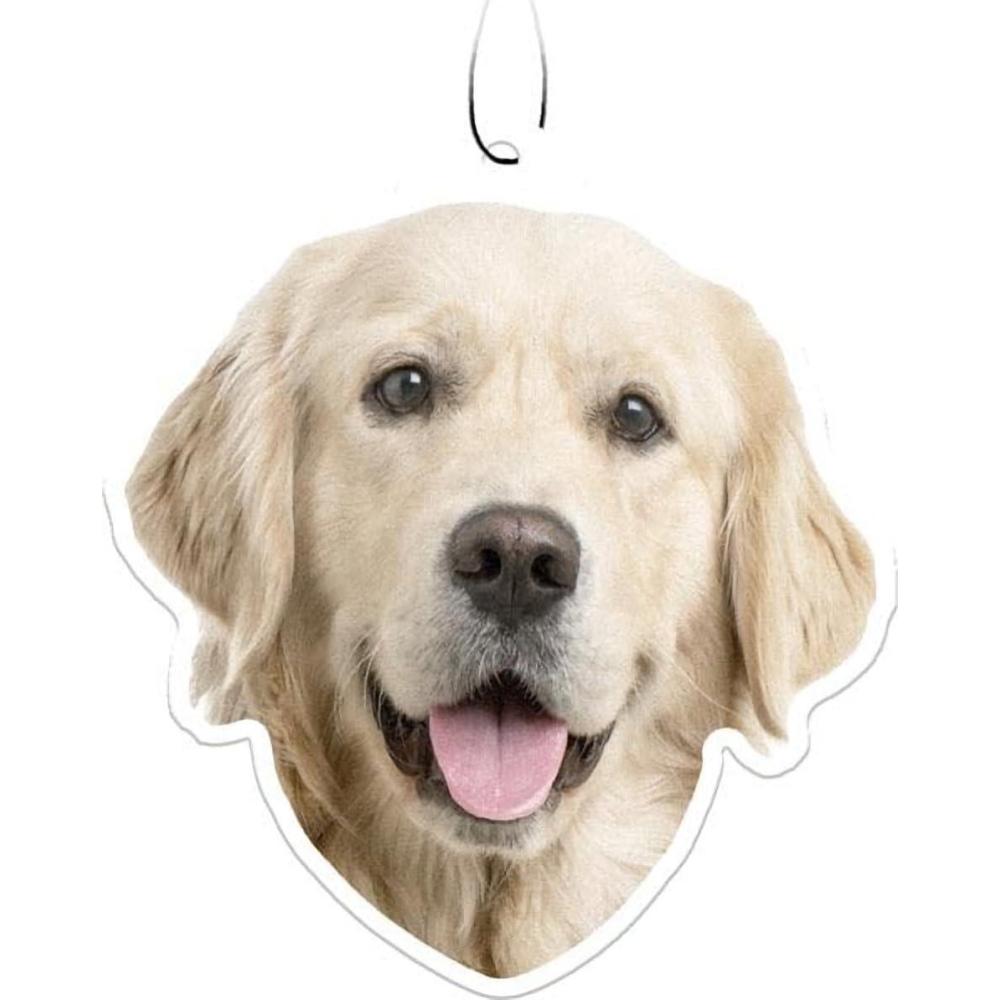 image:imageSpoontiques Sugar Skull Air FreshenerGolden Retriever