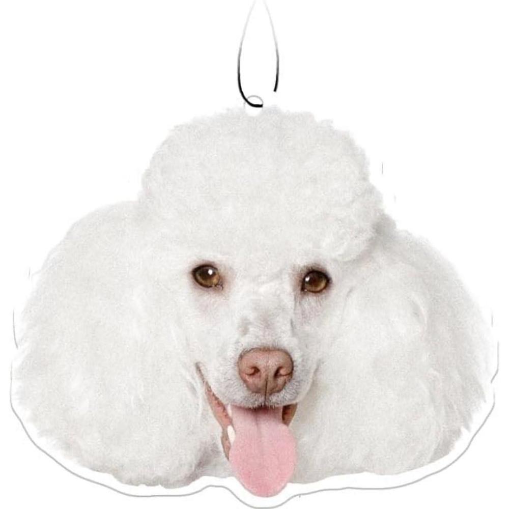 image:imageSpoontiques Sugar Skull Air FreshenerPoodle