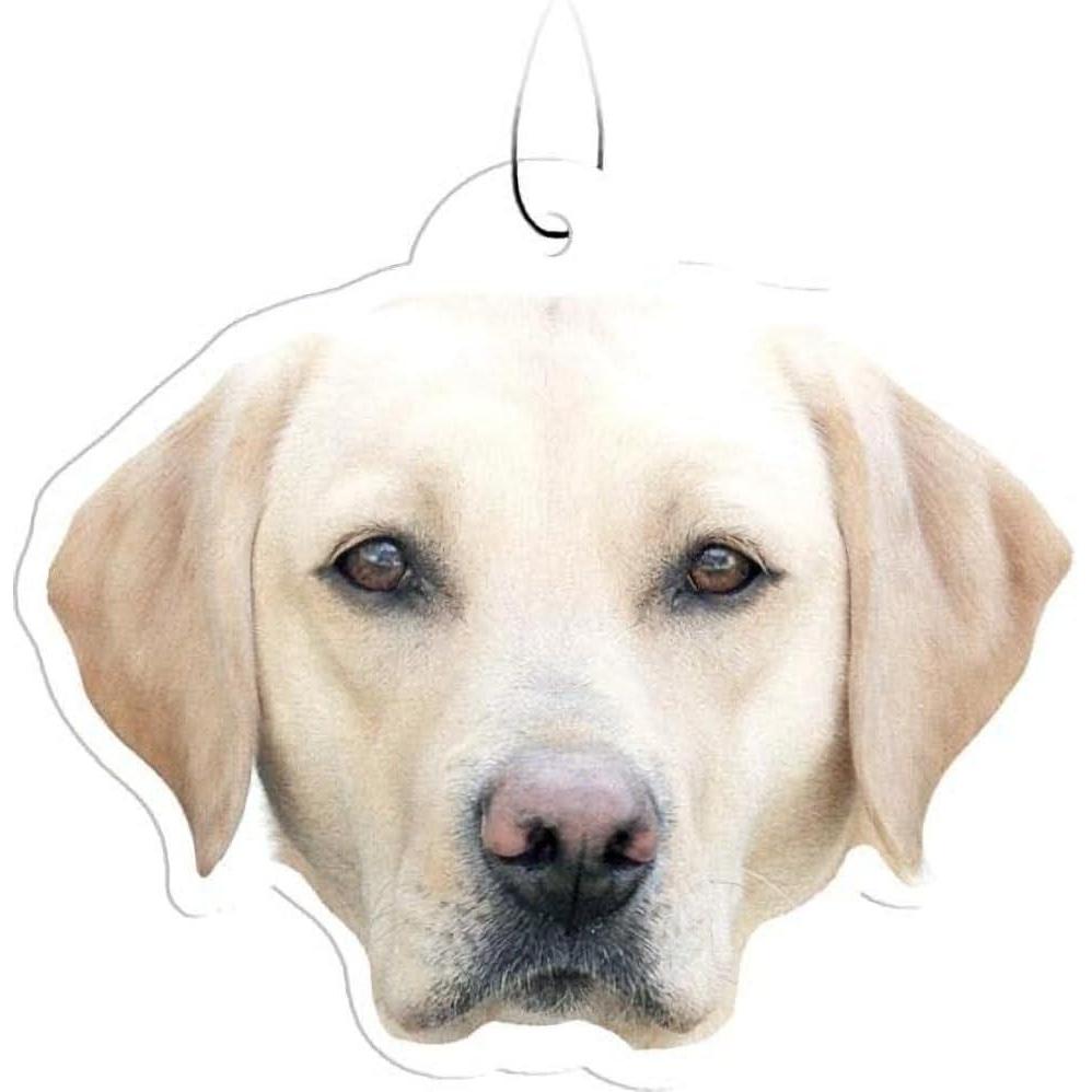 image:imageSpoontiques Sugar Skull Air FreshenerYellow Lab