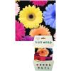 Spoontiques Music Hair Wrap – Multifunctional Bandanna, Headband, Hair Tie, Gaiter, and Scarf(Flowers)