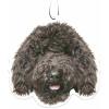 Black Labradoodle