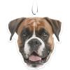 Boxer