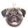 Pug