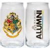 Spoontiques Wonder Woman Glass Set – 2 Unique Glasses Per Set in Colorful Decorative Gift Box – 16oz – 5 1/4″ Tall(Harry Potter Hogwarts)