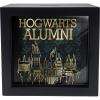 Spoontiques Wonder Woman Shadowbox Bank(Hogwarts Alumni)
