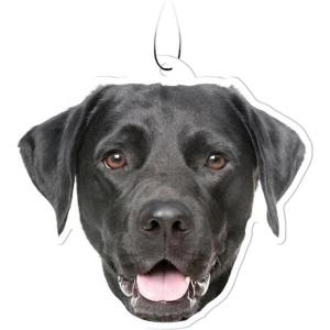 Spoontiques Sugar Skull Air Freshener(Black Lab)