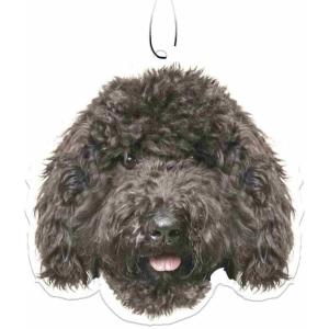 Spoontiques Sugar Skull Air Freshener(Black Labradoodle)