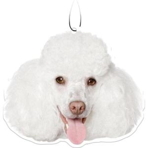 Spoontiques Sugar Skull Air Freshener(Poodle)