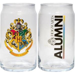 Spoontiques Wonder Woman Glass Set – 2 Unique Glasses Per Set in Colorful Decorative Gift Box – 16oz – 5 1/4″ Tall(Harry Potter Hogwarts)