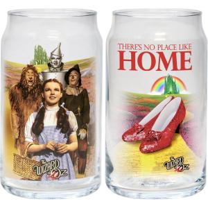 Spoontiques Wonder Woman Glass Set – 2 Unique Glasses Per Set in Colorful Decorative Gift Box – 16oz – 5 1/4″ Tall(Wizard of Oz)