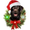 Spoontiques Black Lab Ornament – Christmas Light Up Ornaments – Wooden Decorations with LED Lights – Batteries Included – 4″x5″ with Hanging Rope