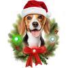 Spoontiques Beagle Ornament – Christmas Light Up Ornaments – Wooden Decorations with LED Lights – Batteries Included – 4″x5″ with Hanging Rope