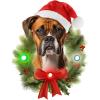 Spoontiques Boxer Ornament – Christmas Light Up Ornaments – Wooden Decorations with LED Lights – Batteries Included – 4″x5″ with Hanging Rope