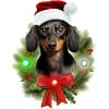 Spoontiques Dachshund Ornament – Christmas Light Up Ornaments – Wooden Decorations with LED Lights – Batteries Included – 4″x5″ with Hanging Rope