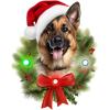 Spoontiques German Shepherd Ornament – Christmas Light Up Ornaments – Wooden Decorations with LED Lights – Batteries Included – 4″x5″ with Hanging Rope