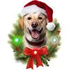Spoontiques Yellow Lab Ornament – Christmas Light Up Ornaments – Wooden Decorations with LED Lights – Batteries Included – 4″x5″ with Hanging Rope