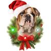 Spoontiques Bulldog Ornament – Christmas Light Up Ornaments – Wooden Decorations with LED Lights – Batteries Included – 4″x5″ with Hanging Rope