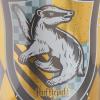 Spoontiques Harry Potter Acrylic Foil Cup with Straw, 20oz – Metallic Locking, Double Wall Insulated, BPA Free – Hufflepuff
