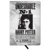 Spoontiques 19048 Journal, 8-inch Height (Harry Potter)