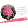 Spoontiques – Garden Décor – Flamingo Stepping Stone – Decorative Stone for Garden