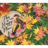 Spoontiques – Garden Décor – No Prob-Llama Stepping Stone – Decorative Stone for Garden