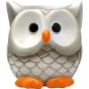 Spoontiques Owl Flower Pot, Home Décor, Tabletop Decoration, Vase Window Décor, Indoor Outdoor Décor