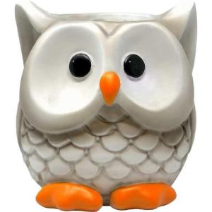 Spoontiques Owl Flower Pot, Home Décor, Tabletop Decoration, Vase Window Décor, Indoor Outdoor Décor