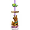 Spoontiques Scooby Doo Glass w/Lid and Straw Charm, 20oz – 6.75” Tall Decorative Glass, Straw Included, Ideal for Hot & Cold Beverages