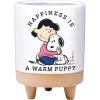 Spoontiques Peanuts Happiness Planter – Decorative Garden Statue – Colorful Home Décor for Indoor or Outdoor Use – Patio Decoration – Garden Accessory