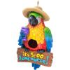 Spoontiques – Birdhouse – Garden Decor – Decorative for Yard and Garden Decoration – Hanging Novelty Outdoor Patio – Parrot