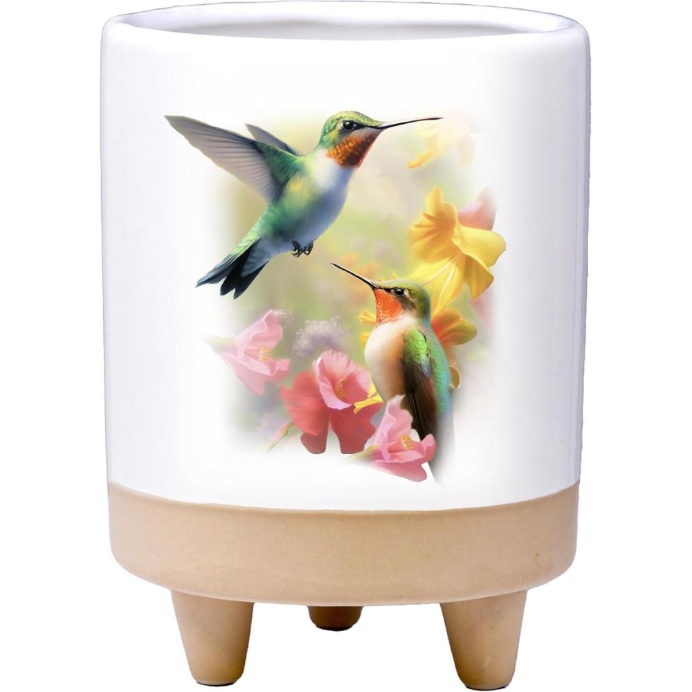 image:imageSpoontiques Hummingbird Planter Hand Painted Ceramic Plant Pot for Indoor and Outdoor Use Home and Garden Dcor